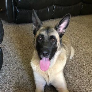 Meet your Posher, Tammy